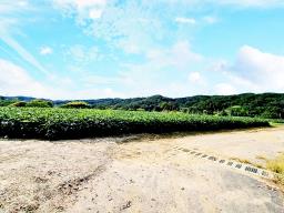 양평군 양서면 부용리 대로변 토지_썸네일_12