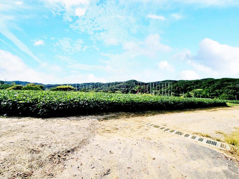 양평군 양서면 부용리 대로변 토지_12