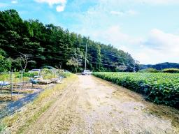 양평군 양서면 부용리 대로변 토지_썸네일_14