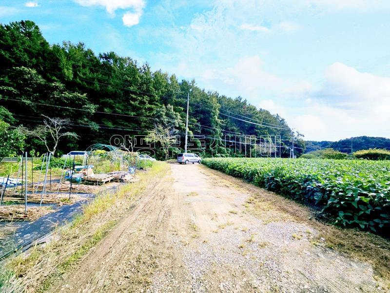 양평군 양서면 부용리 대로변 토지_14