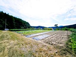 양평군 양서면 부용리 대로변 토지_썸네일_15