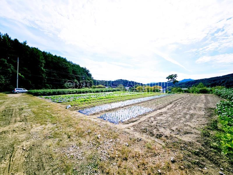 양평군 양서면 부용리 대로변 토지_15