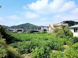 양평군 옥천면 옥천리_썸네일_1