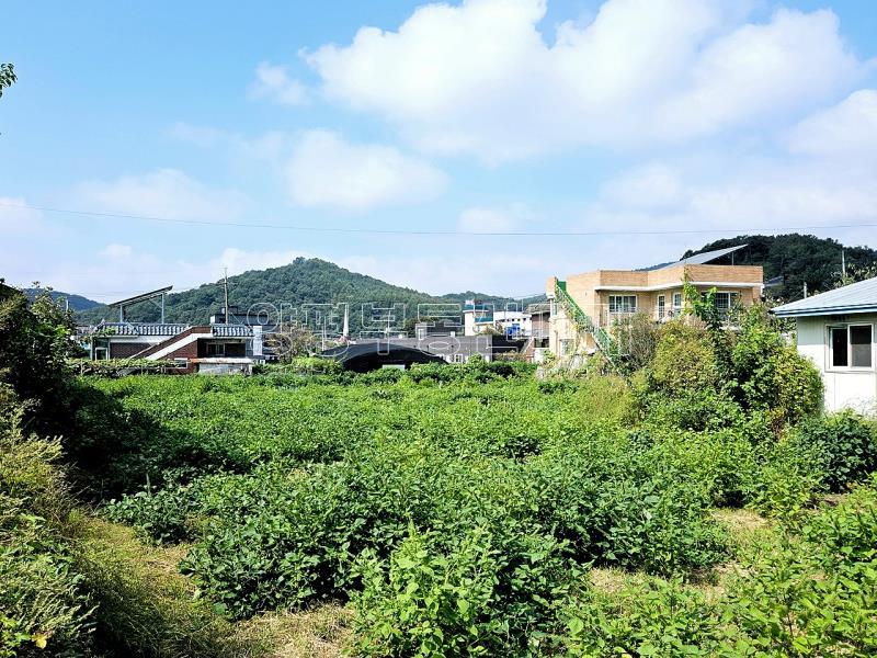 양평군 옥천면 옥천리_1