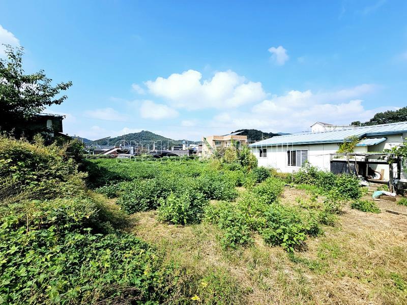 양평군 옥천면 옥천리_3