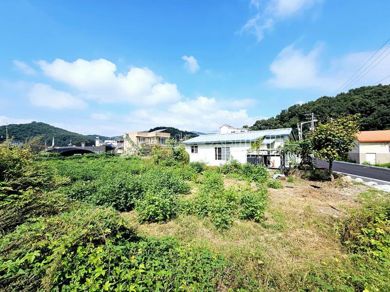 양평군 옥천면 옥천리_4