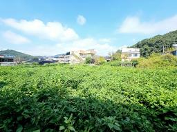 양평군 옥천면 옥천리_썸네일_8