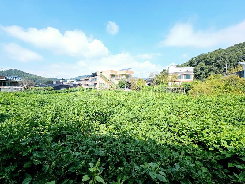 양평군 옥천면 옥천리_8