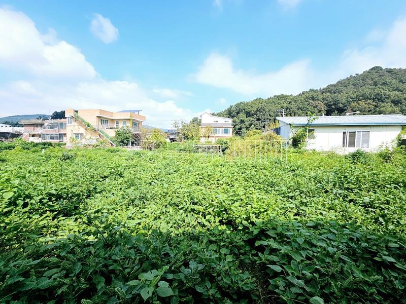 양평군 옥천면 옥천리_9