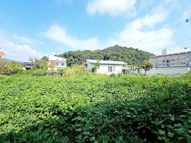 양평군 옥천면 옥천리_10