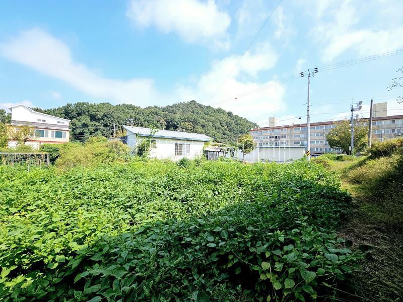 양평군 옥천면 옥천리_11