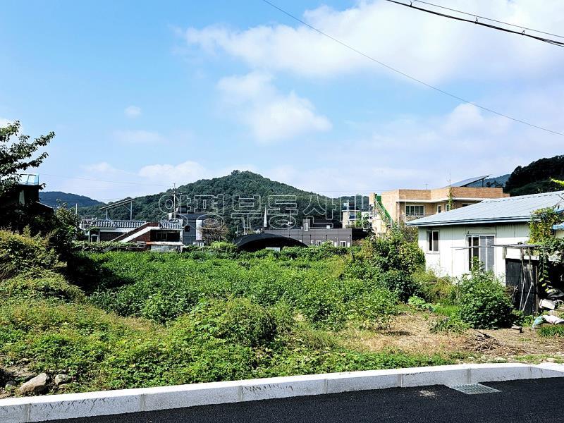 양평군 옥천면 옥천리_13