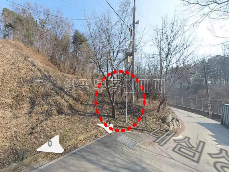 양평군 양서면 대심리 창고 등등  허가가능토지_1