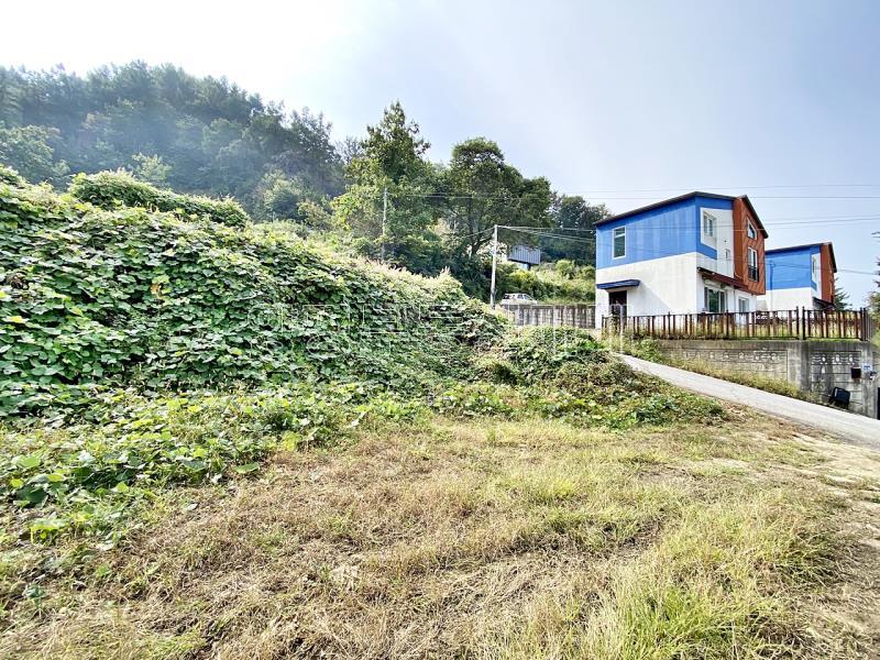 양평군 옥천면 옥천리 평탄지_10