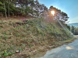 양평군 옥천면 용천리 숲세권토지_썸네일_6