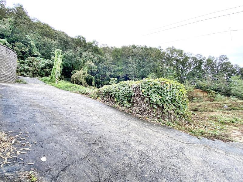 양평군 양서면 부용리 전망좋은토지_5