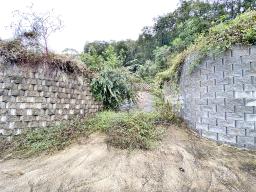 양평군 양서면 부용리 전망좋은토지_썸네일_11