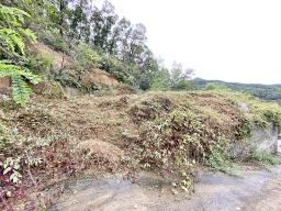 양평군 양서면 부용리 전망좋은토지_썸네일_17