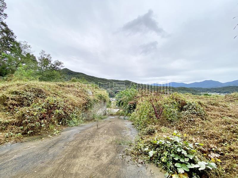 양평군 양서면 부용리 전망좋은토지_19