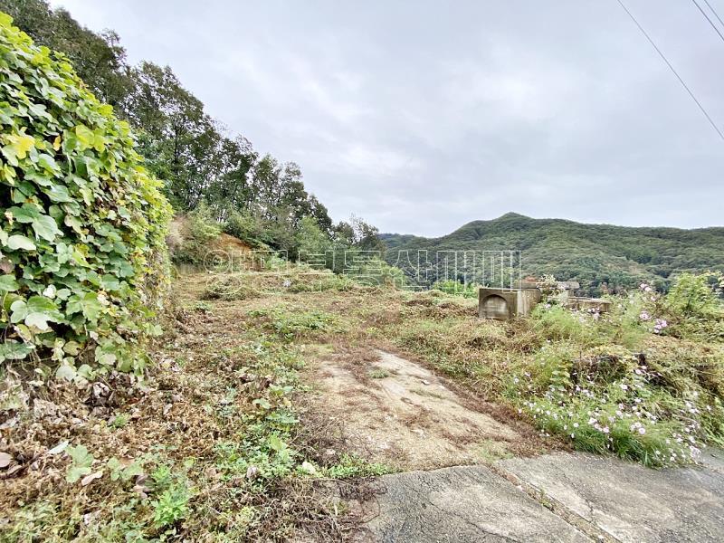 양평군 양서면 부용리 전망좋은토지_21