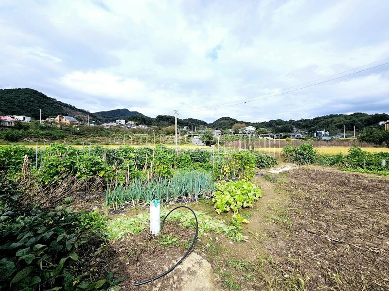 양평군 양서면 국수리 역세권토지_2