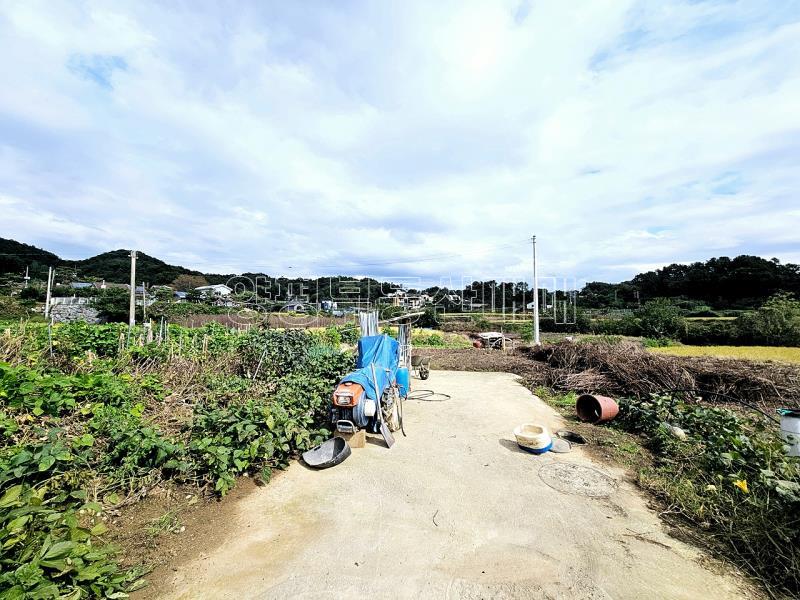 양평군 양서면 국수리 역세권토지_3