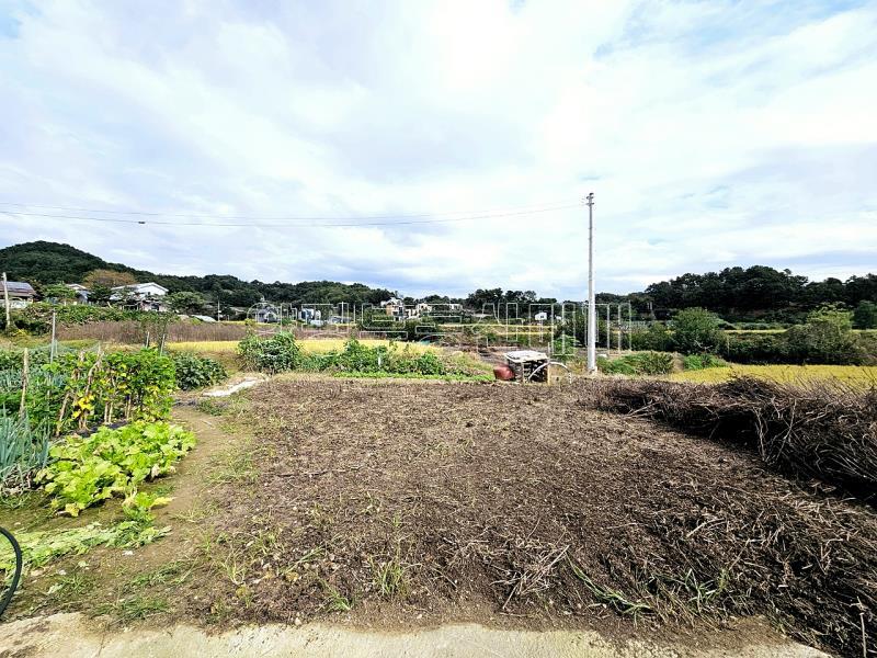 양평군 양서면 국수리 역세권토지_4