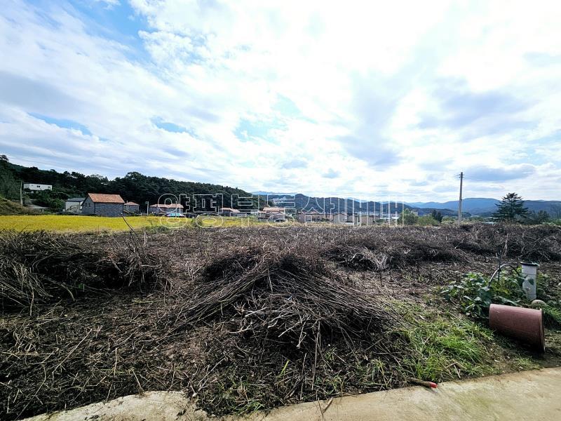 양평군 양서면 국수리 역세권토지_5
