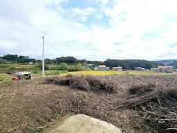 양평군 양서면 국수리 역세권토지_썸네일_6