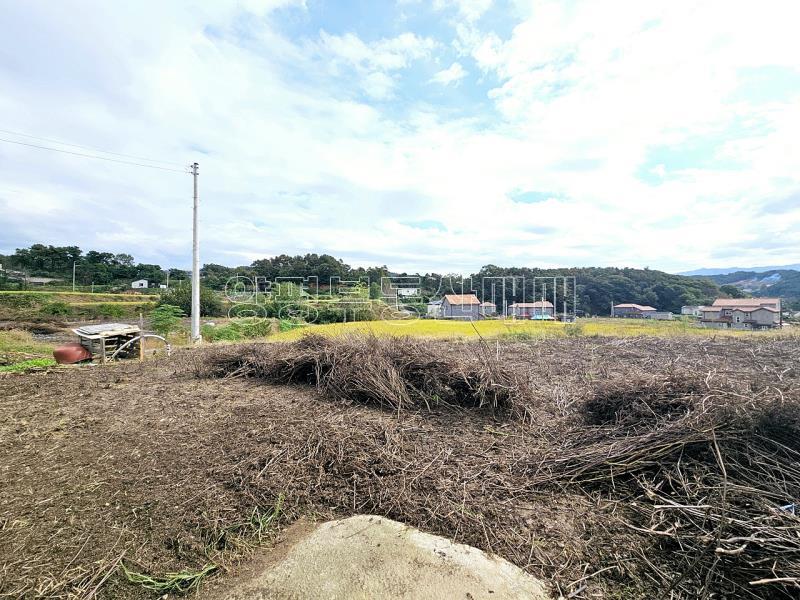 양평군 양서면 국수리 역세권토지_6