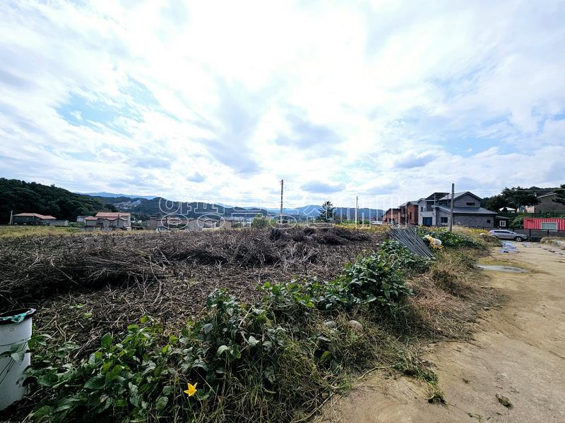 양평군 양서면 국수리 역세권토지_7