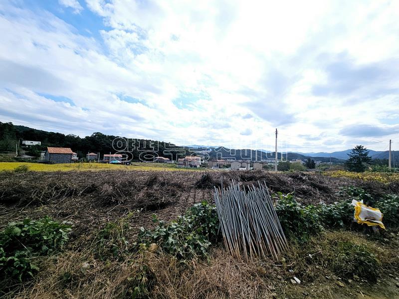 양평군 양서면 국수리 역세권토지_8