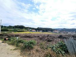 양평군 양서면 국수리 역세권토지_썸네일_9