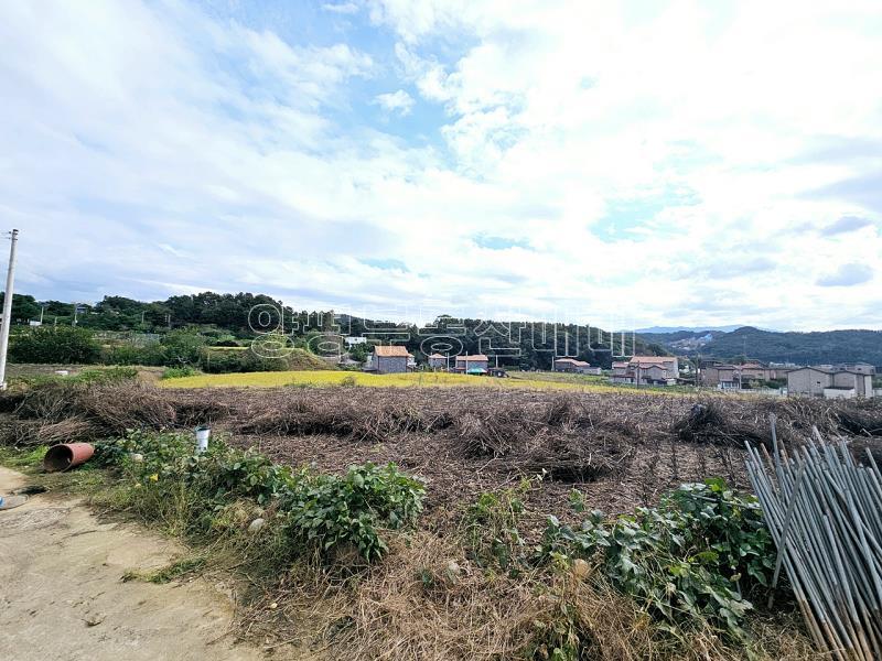 양평군 양서면 국수리 역세권토지_9