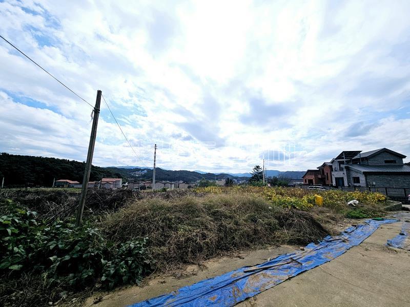 양평군 양서면 국수리 역세권토지_10