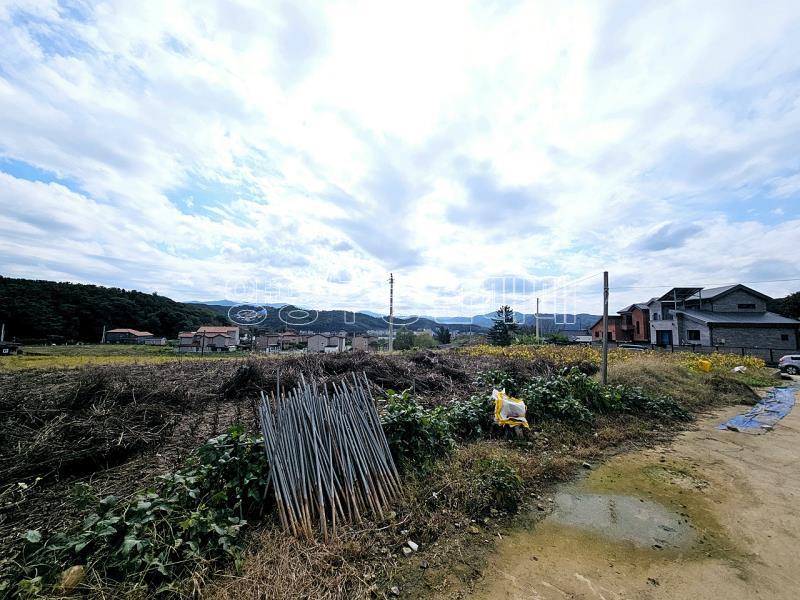 양평군 양서면 국수리 역세권토지_11