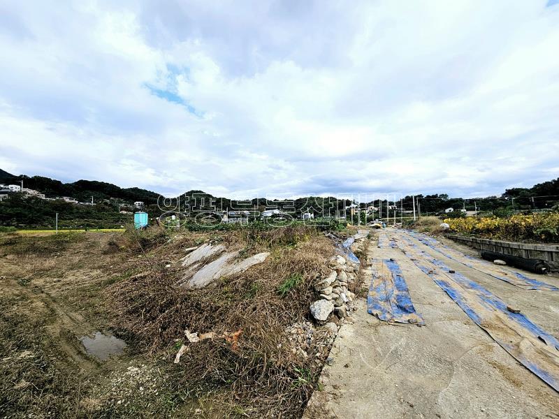 양평군 양서면 국수리 역세권토지_14