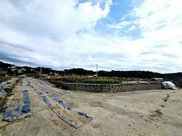 양평군 양서면 국수리 역세권토지_썸네일_15