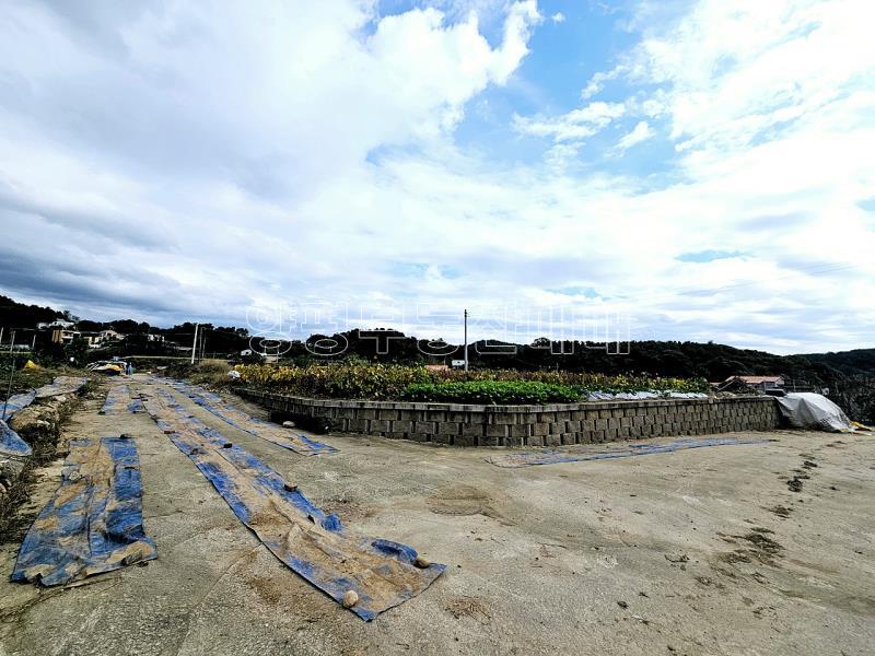 양평군 양서면 국수리 역세권토지_15