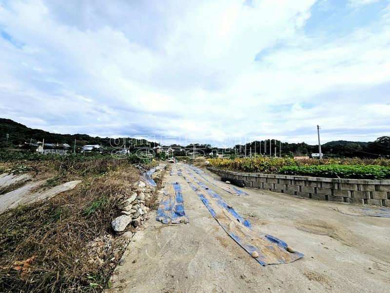 양평군 양서면 국수리 역세권토지_16