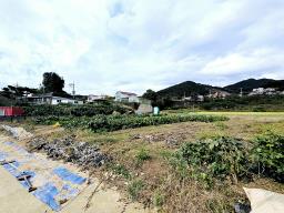 양평군 양서면 국수리 역세권토지_썸네일_17