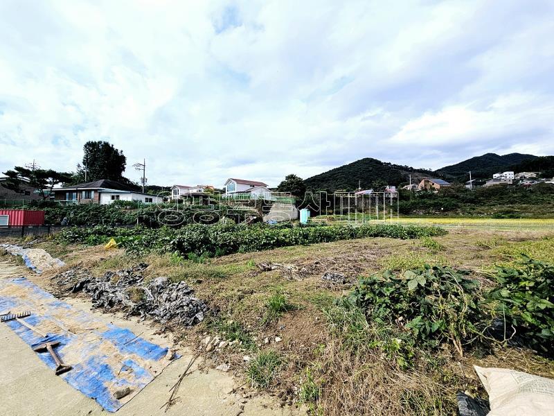 양평군 양서면 국수리 역세권토지_17