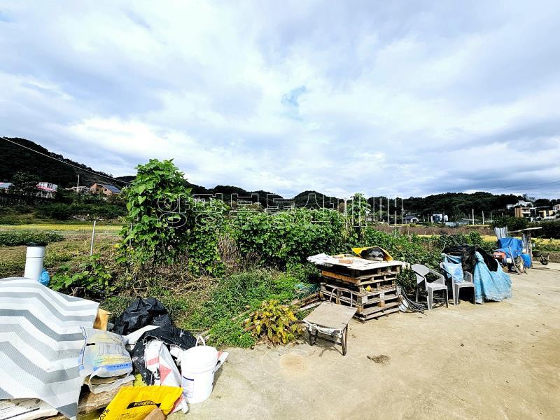 양평군 양서면 국수리 역세권토지_19