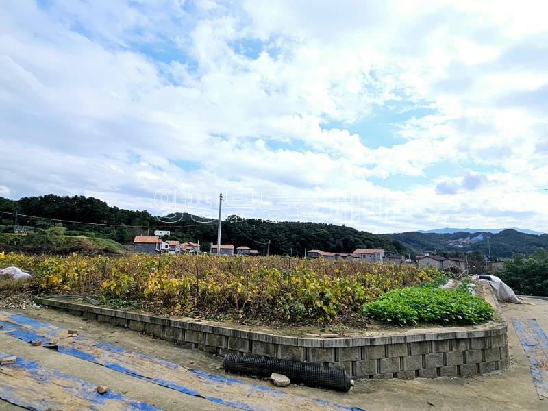 양평군 양서면 국수리 역세권토지_22