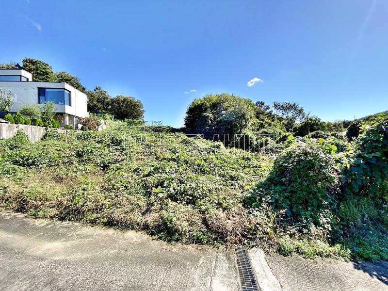 양평군 옥천면 아신리 역세권 i.c,6번국도 근접한 토지_3