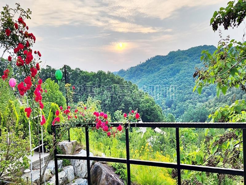 경기도 광주시 퇴촌면 영동리_1