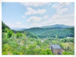 경기도 광주시 퇴촌면 영동리_썸네일_4