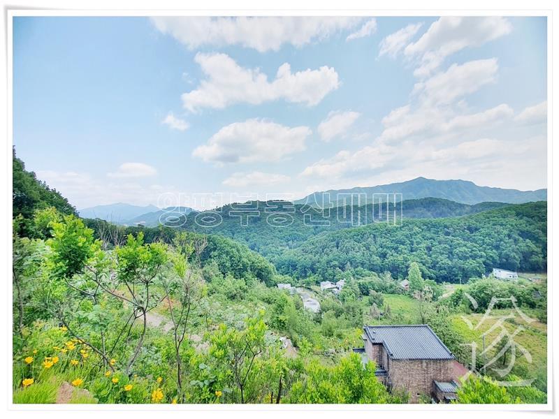 경기도 광주시 퇴촌면 영동리_4