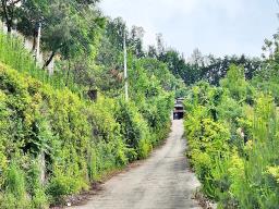 경기도 광주시 퇴촌면 영동리_썸네일_21