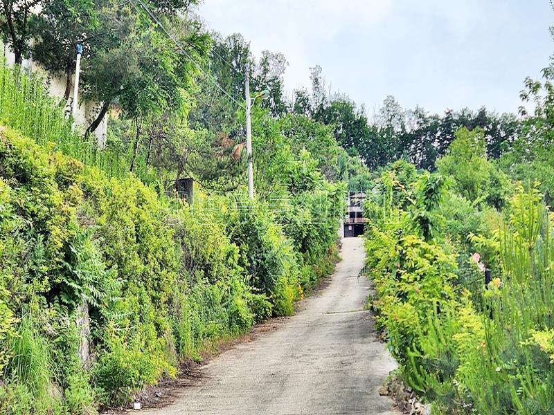 경기도 광주시 퇴촌면 영동리_21